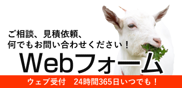 メールでのお問い合わせはこちら